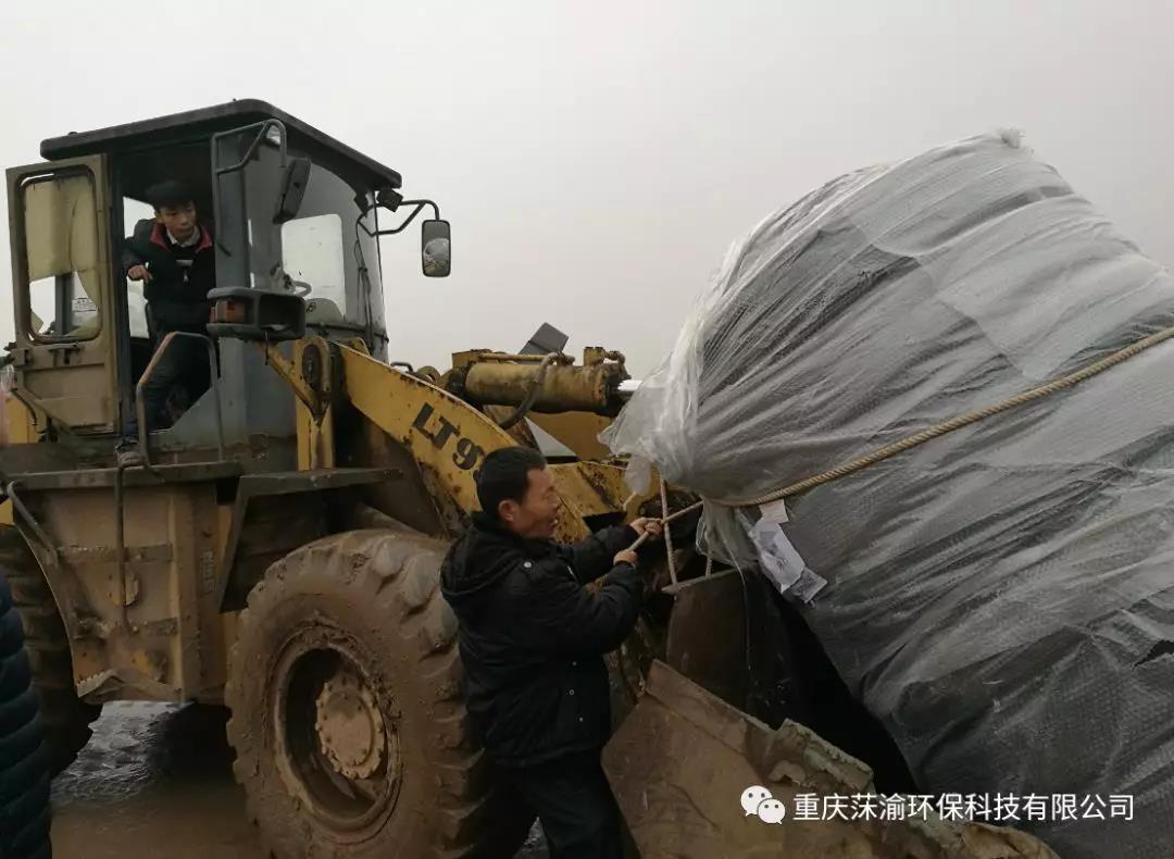 鲁能美丽乡村建设如火如荼
