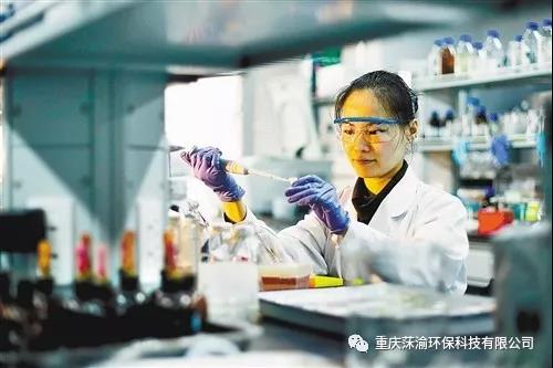 尹雅洁 | 高级技术顾问，中国科学院重庆绿色智能技术研究院副研究员